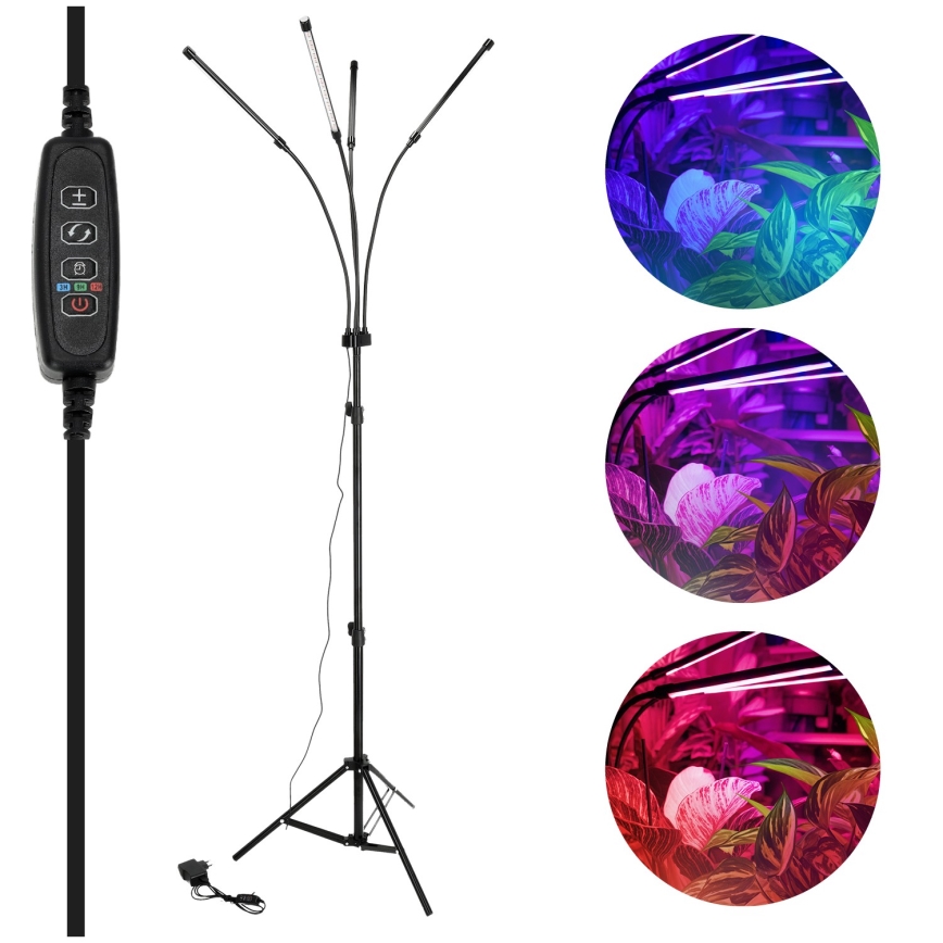 Brilagi - LED Ljusreglerad flexibel golvlampa för att odla växter VITABLOOM 4xLED/7,5W/230V svart