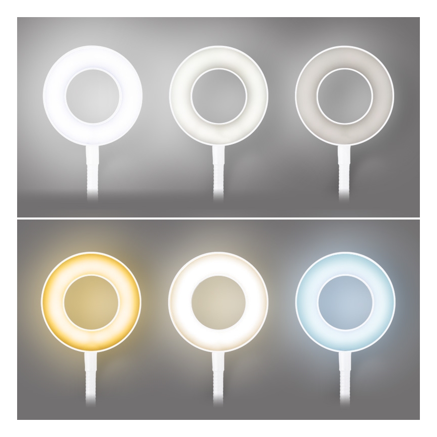 Brilagi - LED dimbar lampa med klämma ORBELA LED/8W/230V 3000/4000/5000K vit