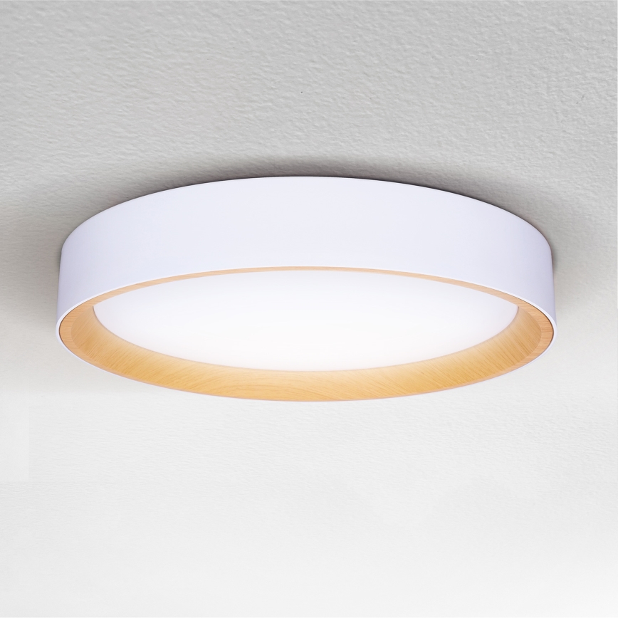 Brilagi - LED Dimbar taklampa LARIOS LED/60W/230V 3000-6500K ø 49 cm vit + fjärrkontroll