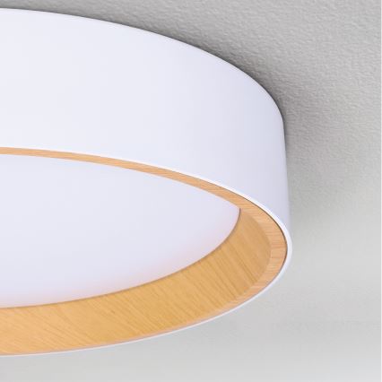 Brilagi - LED Dimbar taklampa LARIOS LED/60W/230V 3000-6500K ø 49 cm vit + fjärrkontroll