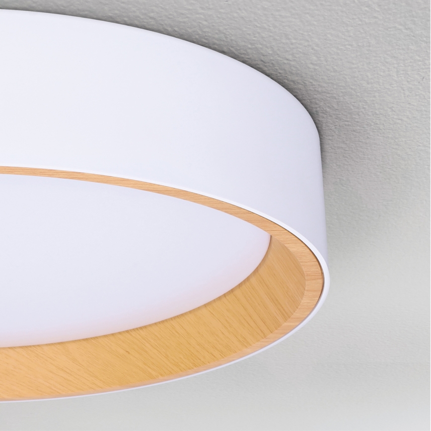 Brilagi - LED Dimbar taklampa LARIOS LED/60W/230V 3000-6500K ø 49 cm vit + fjärrkontroll