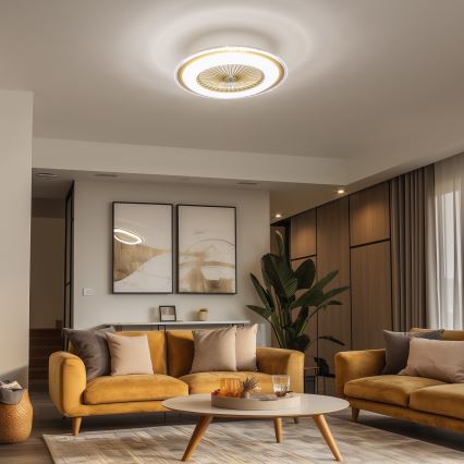 Brilagi - LED Dimbar lampa med fläkt RONDA LED/48W/230V 3000-6000K guld + fjärrkontroll