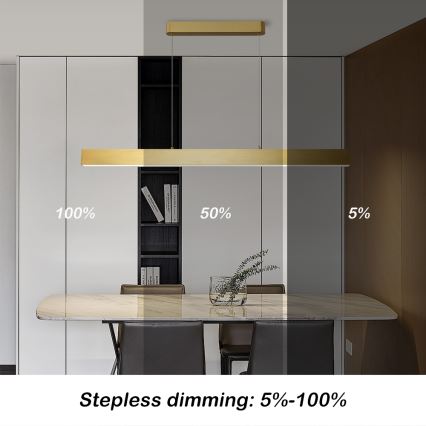 Brilagi - LED dimbar taklampa SLEEKLINE SMART LED/40W/230V 3000-6000K Wi-Fi Tuya guld + fjärrkontroll
