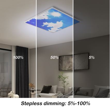 Brilagi - Dimbar LED-taklampa SLIMFRAME SKY LED/58W/230V 60x60 cm 3000-6000K silver/blå + fjärrkontroll