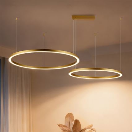 Brilagi - Dimbar LED-pendel på kabel PORTOFINO LED/98W/230V 3000-6000K guld + fjärrkontroll