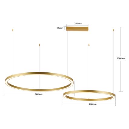 Brilagi - Dimbar LED-pendel på kabel PORTOFINO LED/98W/230V 3000-6000K guld + fjärrkontroll