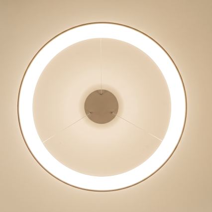 BRILAGI - dimmbar LED-ljuskrona på kabel FALCON II LED/108W/230V 3000-6500K Ø 80 cm beige + fjärrkontroll