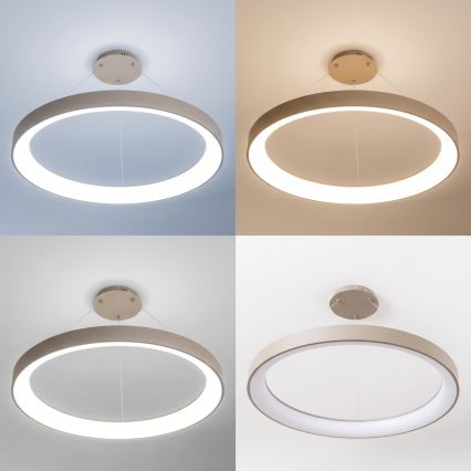 BRILAGI - dimmbar LED-ljuskrona på kabel FALCON II LED/108W/230V 3000-6500K Ø 80 cm beige + fjärrkontroll