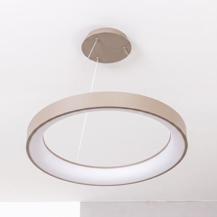 BRILAGI - Dimmbar LED-ljuskrona på vajer FALCON II LED/99W/230V 3000-6500K Ø 60 cm beige + fjärrkontroll