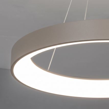 BRILAGI - Dimmbar LED-ljuskrona på vajer FALCON II LED/99W/230V 3000-6500K Ø 60 cm beige + fjärrkontroll