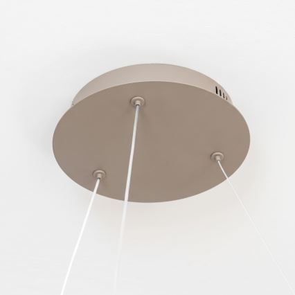BRILAGI - Dimmbar LED-ljuskrona på vajer FALCON II LED/99W/230V 3000-6500K Ø 60 cm beige + fjärrkontroll