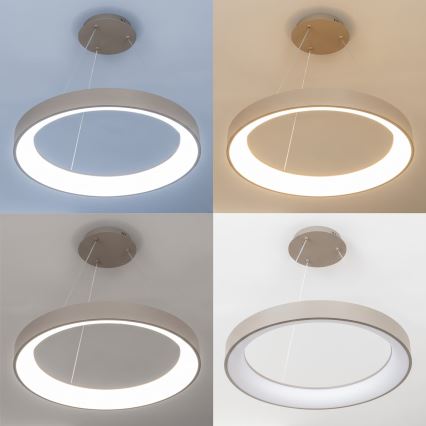 BRILAGI - Dimmbar LED-ljuskrona på vajer FALCON II LED/99W/230V 3000-6500K Ø 60 cm beige + fjärrkontroll