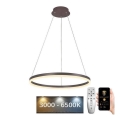 BRILAGI - LED dimbar pendellampa med vajer CIRCLE LED/42W/230V 3000-6500K Ø 60 cm brun + fjärrkontroll