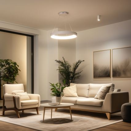 BRILAGI - LED-dimbar pendellampa på vajer FALCON II LED/99W/230V 3000-6500K Ø 60 cm vit + fjärrkontroll