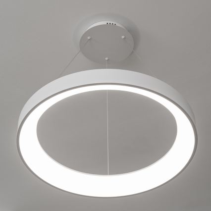 BRILAGI - LED-dimbar pendellampa på vajer FALCON II LED/99W/230V 3000-6500K Ø 60 cm vit + fjärrkontroll