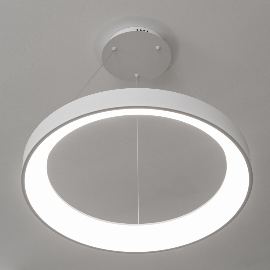 BRILAGI - LED-dimbar pendellampa på vajer FALCON II LED/99W/230V 3000-6500K Ø 60 cm vit + fjärrkontroll