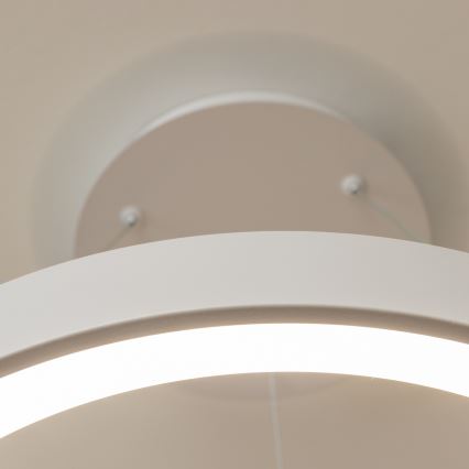 BRILAGI - LED-dimbar pendellampa på vajer FALCON II LED/99W/230V 3000-6500K Ø 60 cm vit + fjärrkontroll