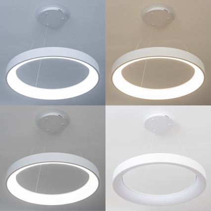 BRILAGI - LED-dimbar pendellampa på vajer FALCON II LED/99W/230V 3000-6500K Ø 60 cm vit + fjärrkontroll