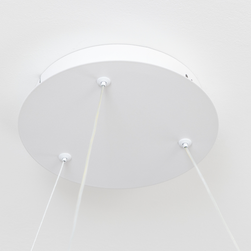 BRILAGI - LED-dimbar pendellampa på vajer FALCON II LED/99W/230V 3000-6500K Ø 60 cm vit + fjärrkontroll