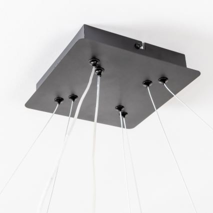 Brilagi - Dimbart LED-pendel på vajer FALCON SLIM LED/78W/230V 3000-6500K 50x50 cm svart + fjärrkontroll