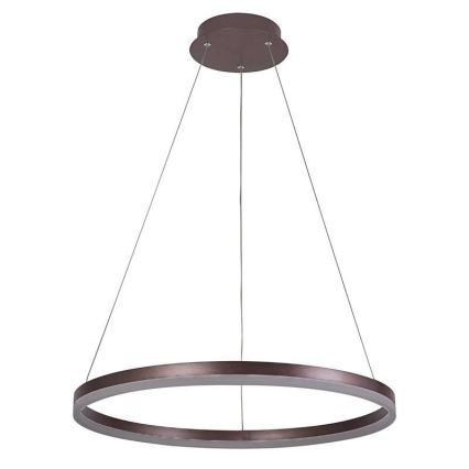 Brilagi - Dimmbar LED-pendellampa på vajer CIRCLE LED/42W/230V 3000–6500K Ø 60 cm brun, inkl. fjärrkontroll