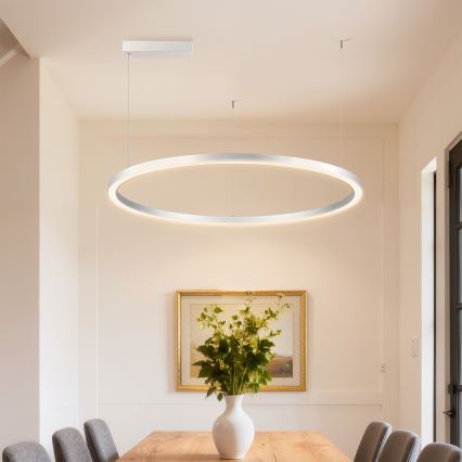 Brilagi - LED-dimbar pendellampa på vajer PORTOFINO LED/60W/230V 3000-6000K Ø 80 cm silver + fjärrkontroll