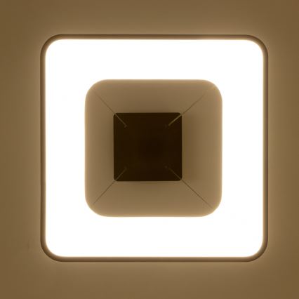 Brilagi - Dimbar LED-pendel på vajer FALCON II LED/80W/230V 3000-6500K 40x40 cm svart + fjärrkontroll