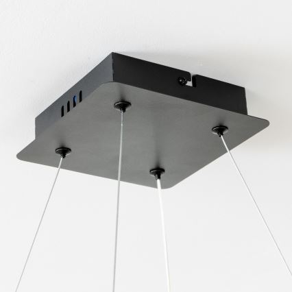 Brilagi - Dimbar LED-pendel på vajer FALCON II LED/80W/230V 3000-6500K 40x40 cm svart + fjärrkontroll
