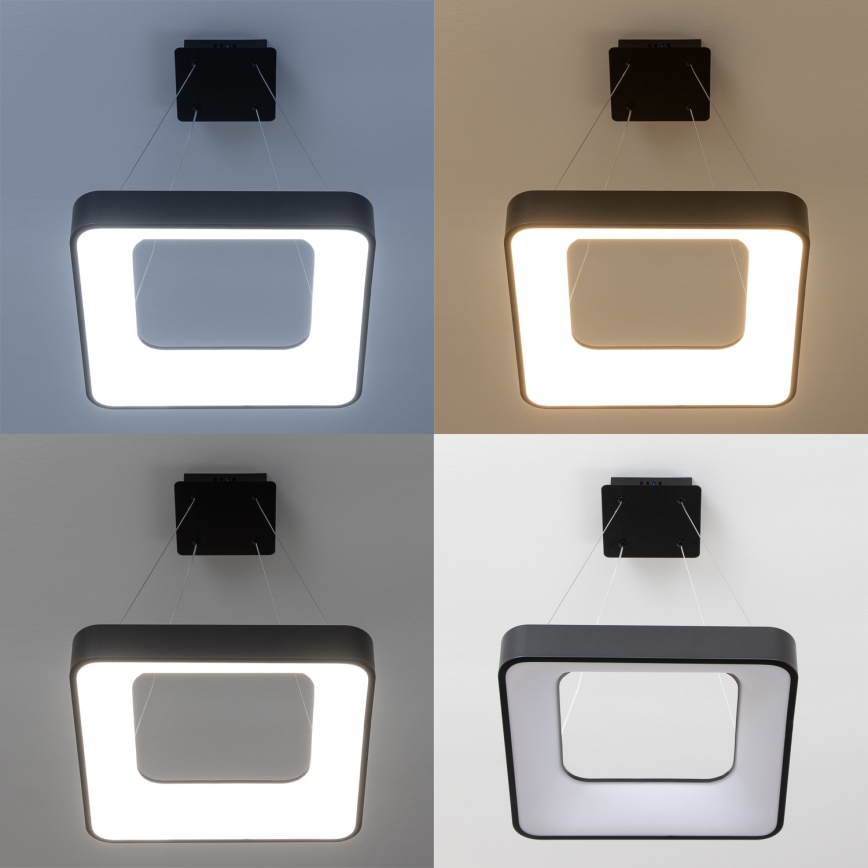 Brilagi - Dimbar LED-pendel på vajer FALCON II LED/80W/230V 3000-6500K 40x40 cm svart + fjärrkontroll