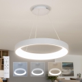 BRILAGI - LED-dimbar pendellampa på vajer FALCON II LED/99W/230V 3000-6500K Ø 60 cm vit + fjärrkontroll