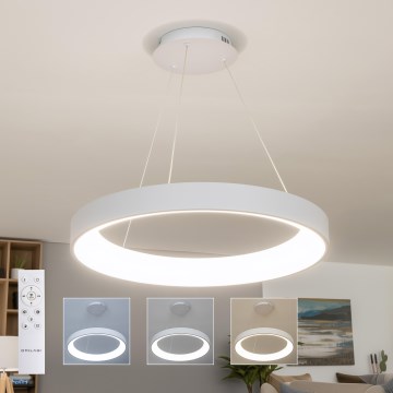 BRILAGI - LED-dimbar pendellampa på vajer FALCON II LED/99W/230V 3000-6500K Ø 60 cm vit + fjärrkontroll