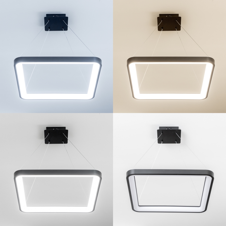 Brilagi - LED-dimmbar pendellampa på vajer FALCON SLIM LED/50W/230V 3000-6500K 50x50 cm svart + fjärrkontroll