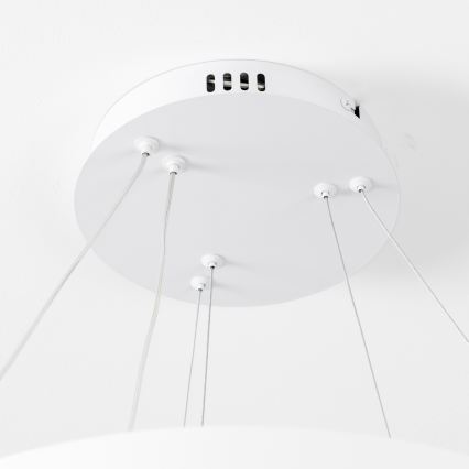 Brilagi - Dimbart LED-pendel på vajer FALCON SLIM LED/68W/230V 3000–6500K Ø 50 cm vit + fjärrkontroll