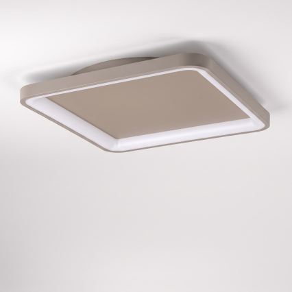 BRILAGI - Dimbar LED-taklampa FALCON SLIM LED/50W/230V 3000-6500K 50x50 cm beige + fjärrkontroll