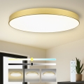 Brilagi - LED-dimbar takarmatur POOL SMART LED/180 W/230 V 3000–6000 K 120 cm guldig Wi‑Fi Tuya + fjärrkontroll
