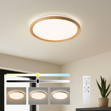 Brilagi - LED dimbar takarmatur RIVO LED/72W/230V 3000-6000K trädekor Ø 50 cm + fjärrkontroll