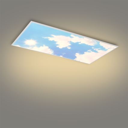 BRILAGI - Dimbart LED-takarmatur SLIMFRAME SKY LED/80W/230V 120x60 cm 3000-6000K silver/blå + fjärrkontroll