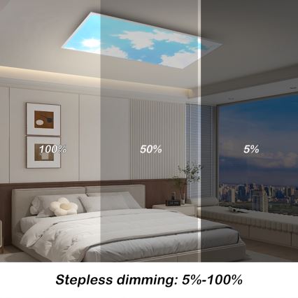 BRILAGI - Dimbart LED-takarmatur SLIMFRAME SKY LED/80W/230V 120x60 cm 3000-6000K silver/blå + fjärrkontroll