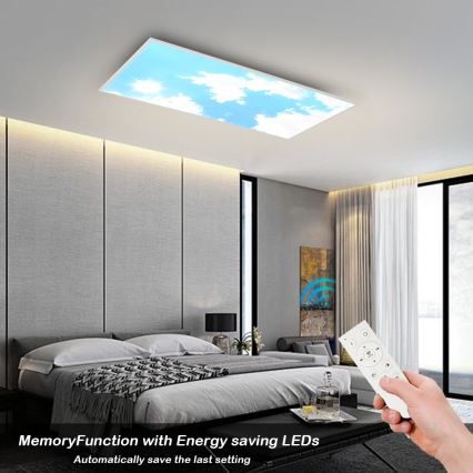 BRILAGI - Dimbart LED-takarmatur SLIMFRAME SKY LED/80W/230V 120x60 cm 3000-6000K silver/blå + fjärrkontroll