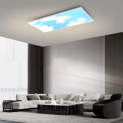 BRILAGI - Dimbart LED-takarmatur SLIMFRAME SKY LED/80W/230V 120x60 cm 3000-6000K silver/blå + fjärrkontroll
