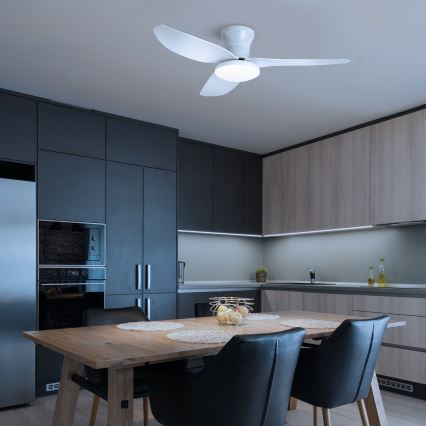 Brilagi - LED dimbar takfläkt LED/30W/230V 3000-6500K vit + fjärrkontroll