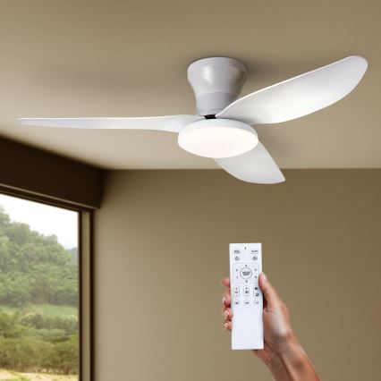 Brilagi - dimmbar LED-takfläkt LED/30W/230V 3000-6500K vit + fjärrkontroll