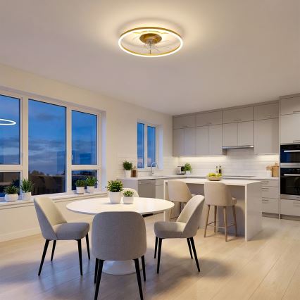 Brilagi - LED-dimmbar takfläkt LED/66W/230V 55 cm vit/guld + fjärrkontroll