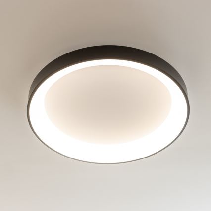 Brilagi - LED-dimbar taklampa FALCON II LED/99W/230V 3000-6500K Ø 60 cm svart + fjärrkontroll