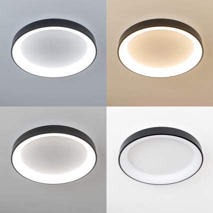 Brilagi - LED-dimbar taklampa FALCON II LED/99W/230V 3000-6500K Ø 60 cm svart + fjärrkontroll