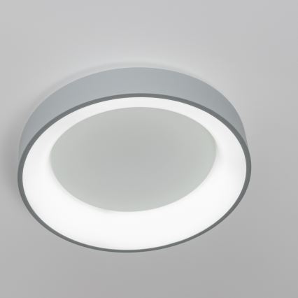 Brilagi - Dimbart LED-takarmatur FALCON LED/80W/230V 3000-6500K Ø 60 cm grå + fjärrkontroll
