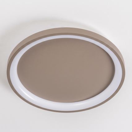 BRILAGI - Dimbart takarmatur FALCON SLIM LED/42W/230V 3000-6500K Ø 50 cm beige + fjärrkontroll
