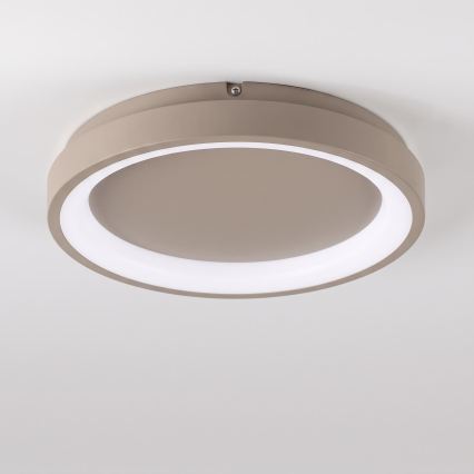 BRILAGI - Dimbart takarmatur FALCON SLIM LED/42W/230V 3000-6500K Ø 50 cm beige + fjärrkontroll
