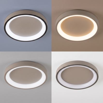 BRILAGI - Dimbart takarmatur FALCON SLIM LED/42W/230V 3000-6500K Ø 50 cm beige + fjärrkontroll