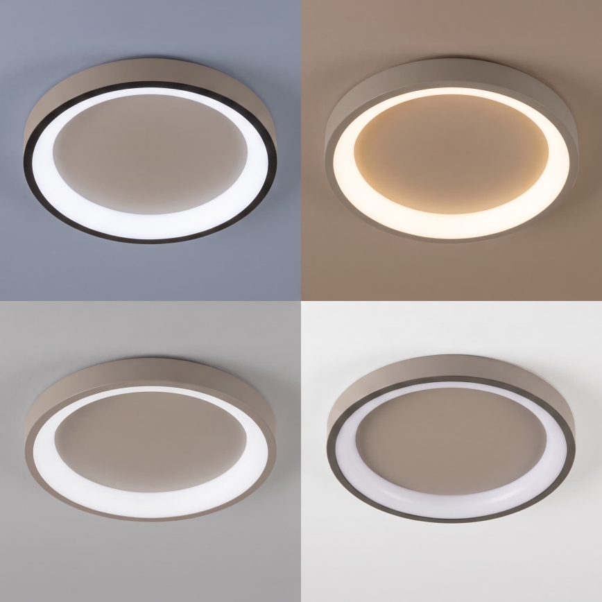 BRILAGI - Dimbart takarmatur FALCON SLIM LED/42W/230V 3000-6500K Ø 50 cm beige + fjärrkontroll